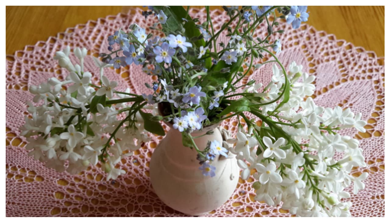 വീട്ടിൽ ഫ്രഞ്ച് ലുക്കിൽ ഒരു ഡൈനിങ്ങ് ആയാലോ; സിംപിളായി ഒരുക്കാം 