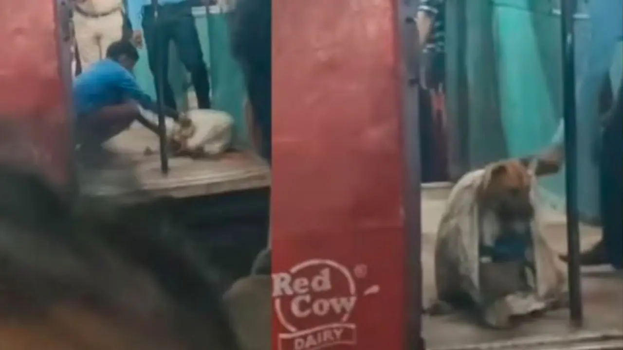 ನಾಯಿಯನ್ನು ಚೀಲದಲ್ಲಿ ತುಂಬಿಸಿ ರೈಲಿನಲ್ಲಿ ಬಿಟ್ಟು ಹೋದ ಪಾಪಿಗಳು