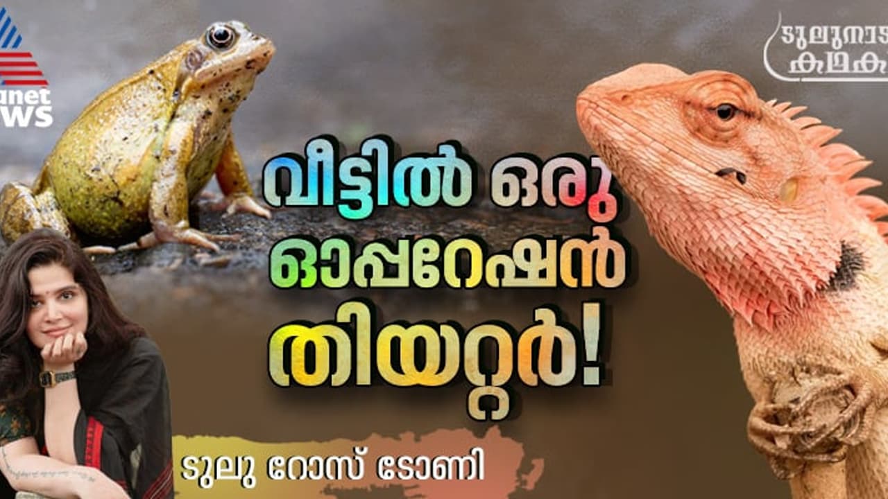 തവളയുടെ ഹൃദയം ഓന്തിന്, ഓന്തിന്റെ ഹൃദയം തവളയ്ക്ക്; ഞാന്‍ കാരണം വെള്ളത്തിലായ ഒരു ഹൃദയമാറ്റ ശസ്ത്രക്രിയ! 