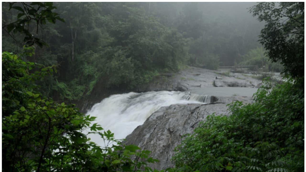 വയനാടൻ കുന്നുകളിലെ സുന്ദരി! അത്ഭുതമാണീ കാന്തൻപാറ വെളളച്ചാട്ടം