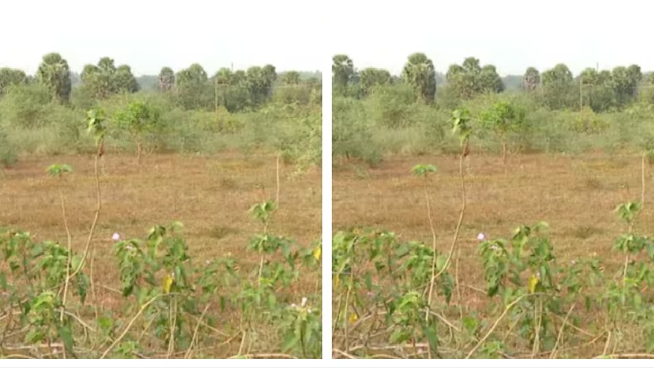 ബ്രൂവറി: 'മദ്യനിർമാണശാലകൾക്ക് അനുമതി നൽകുന്നത് ലഹരിമാഫിയയെ പാലൂട്ടുന്നതിന് തുല്യം'; ഓർത്തഡോക്സ് സഭ