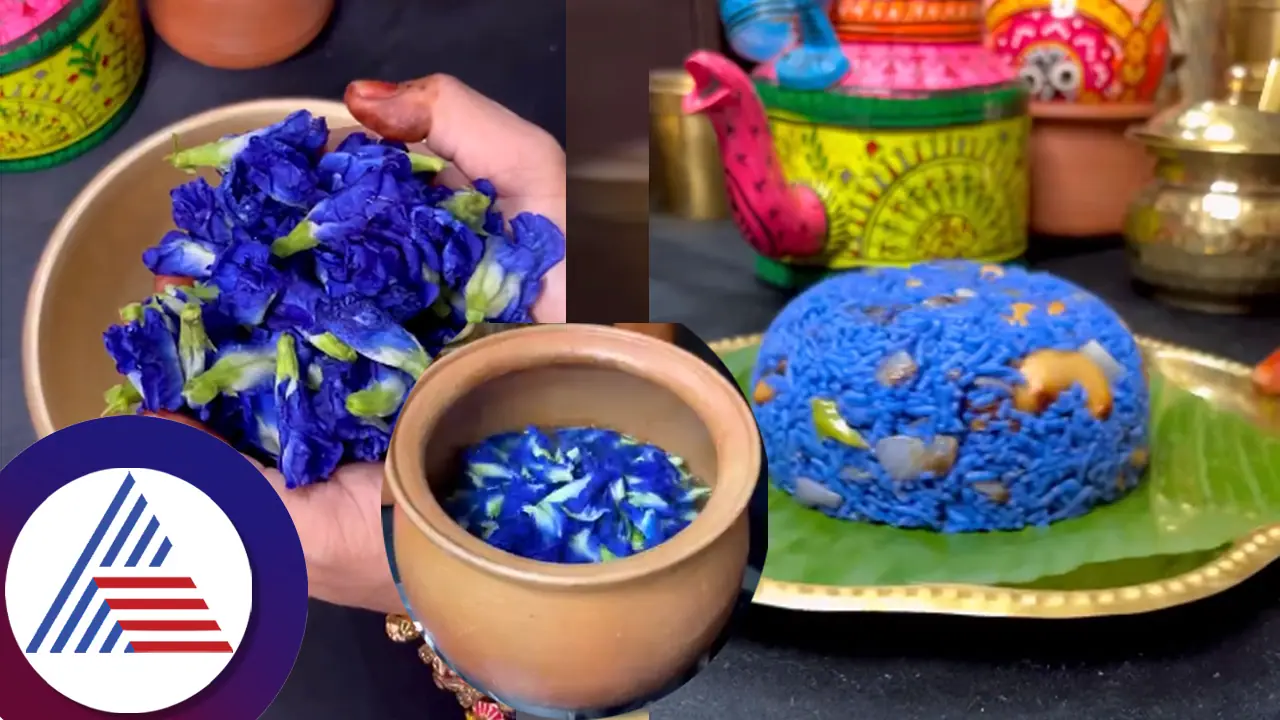 ಶಂಖಪುಷ್ಪದ ರೈಸ್​ ಮಾಡಿದ್ದೀರಾ? ಆಹಾ! ಸವಿದು ನೋಡಿ ಘಮಘಮಿಸುವ ನೀಲಿ ಅನ್ನದ ಈ ಪರಿ ರುಚಿಯ... 