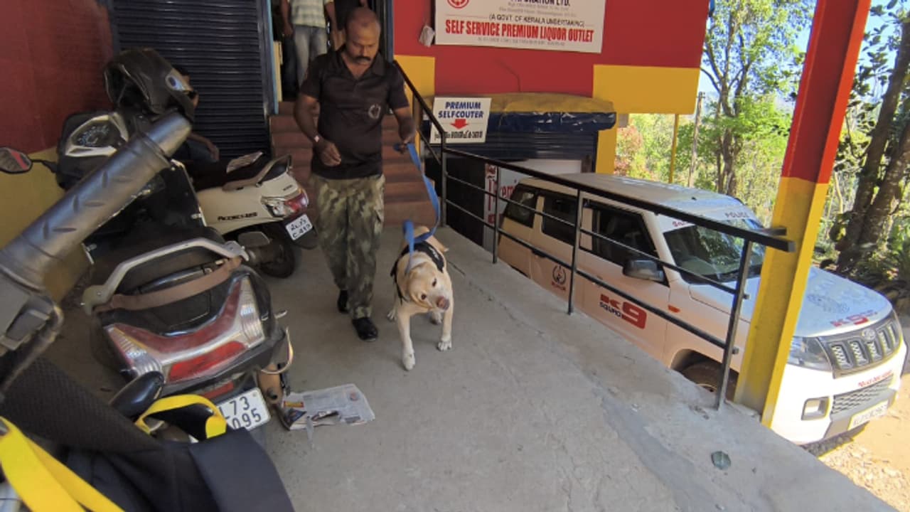 പുലർച്ചെ സുൽത്താൻബത്തേരി ബിവറജിൽ 3 പേർ, മോഷ്ടിച്ചത് ബിയറും ബ്രാണ്ടിയുമടക്കം 7 ലിറ്റർ മദ്യം, വലവിരിച്ച് പൊലീസ് പുലർച്ചെ സുൽത്താൻബത്തേരി ബിവറജിൽ 3 പേർ, മോഷ്ടിച്ചത് ബിയറും ബ്രാണ്ടിയുമടക്കം 7 ലിറ്റർ മദ്യം, വലവിരിച്ച് പൊലീസ്