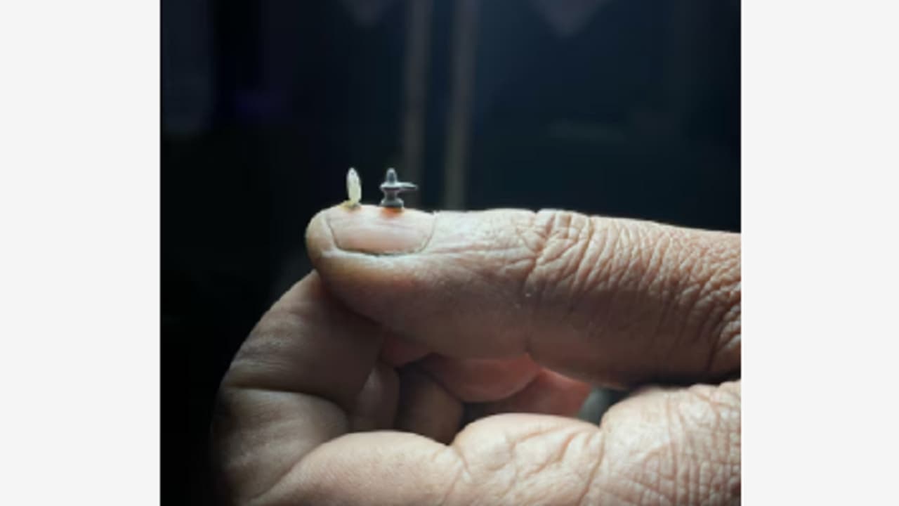 ಕೊಪ್ಪಳ ಶಿಲ್ಪಿಯಿಂದ ಮೂಡಿದ ಅಕ್ಕಿ ಗಾತ್ರದ ಶಿವಲಿಂಗ: ಕೆತ್ತನೆಗೆ ಹಿಡಿಯಿತು ಎರಡೂವರೆ ಗಂಟೆ!