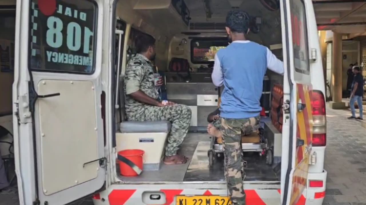 മാവോയിസ്റ്റ് തെരച്ചിലിന് ഇറങ്ങിയ തണ്ടര്‍ബോള്‍ട്ട് സംഘത്തിന് കാട്ടുതേനീച്ചയുടെ ആക്രമണം 