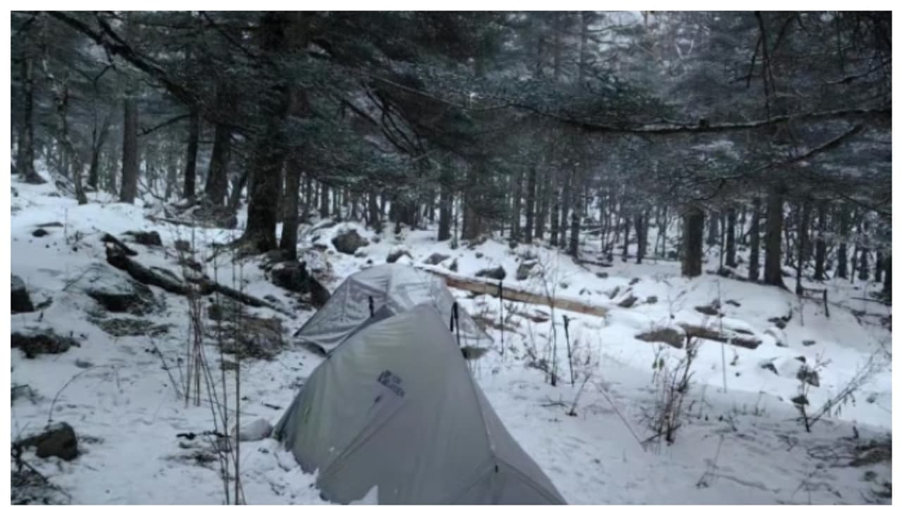 കൊടുംകാട്ടില്‍ 18 കാരന്‍ ഒറ്റപ്പെട്ടത് 10 ദിവസം; ജീവൻ നിലനിർത്തിയത് ടൂത്ത് പേസ്റ്റ് കഴിച്ചെന്ന് 