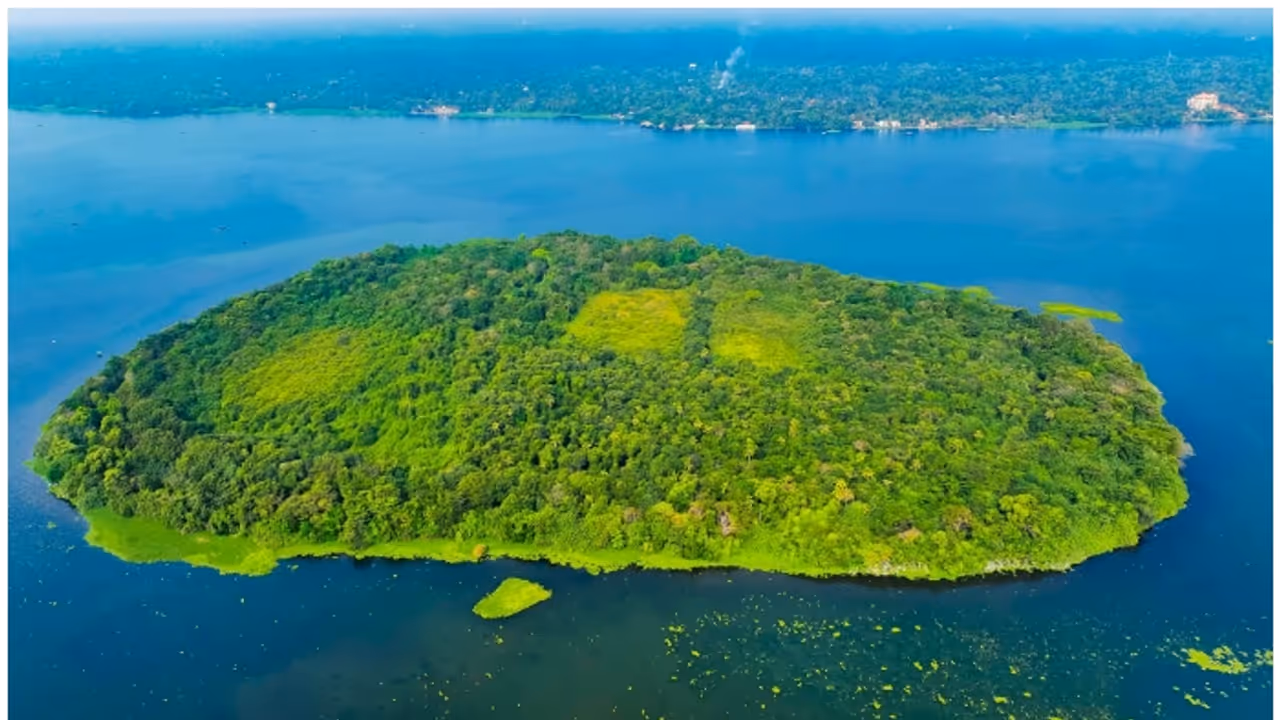 കേരളത്തിലൊരു നിഗൂഢ ദ്വീപ്, ബോട്ടിൽ ഒന്നര മണിക്കൂർ നീണ്ട യാത്ര; പ്രകൃതി ഒളിപ്പിച്ച പാതിരാമണൽ കേരളത്തിലൊരു നിഗൂഢ ദ്വീപ്, ബോട്ടിൽ ഒന്നര മണിക്കൂർ നീണ്ട യാത്ര; പ്രകൃതി ഒളിപ്പിച്ച പാതിരാമണൽ