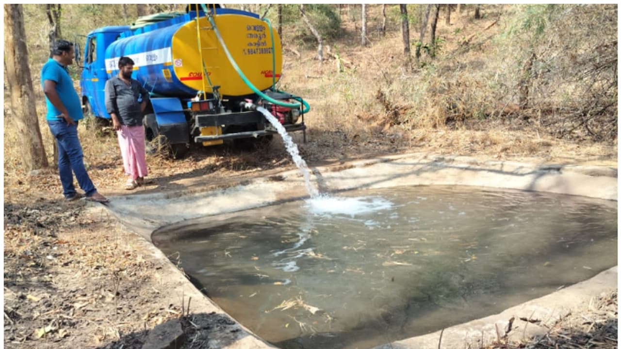 നീർച്ചോലകളെല്ലാം വറ്റി, ചൂലനൂരിൽ വന്യജീവികൾക്ക് കുടിക്കാൻ തുള്ളി വെള്ളമില്ല; ഒടുവിൽ പരിഹാരം, ടാങ്കറിലെത്തിച്ചു