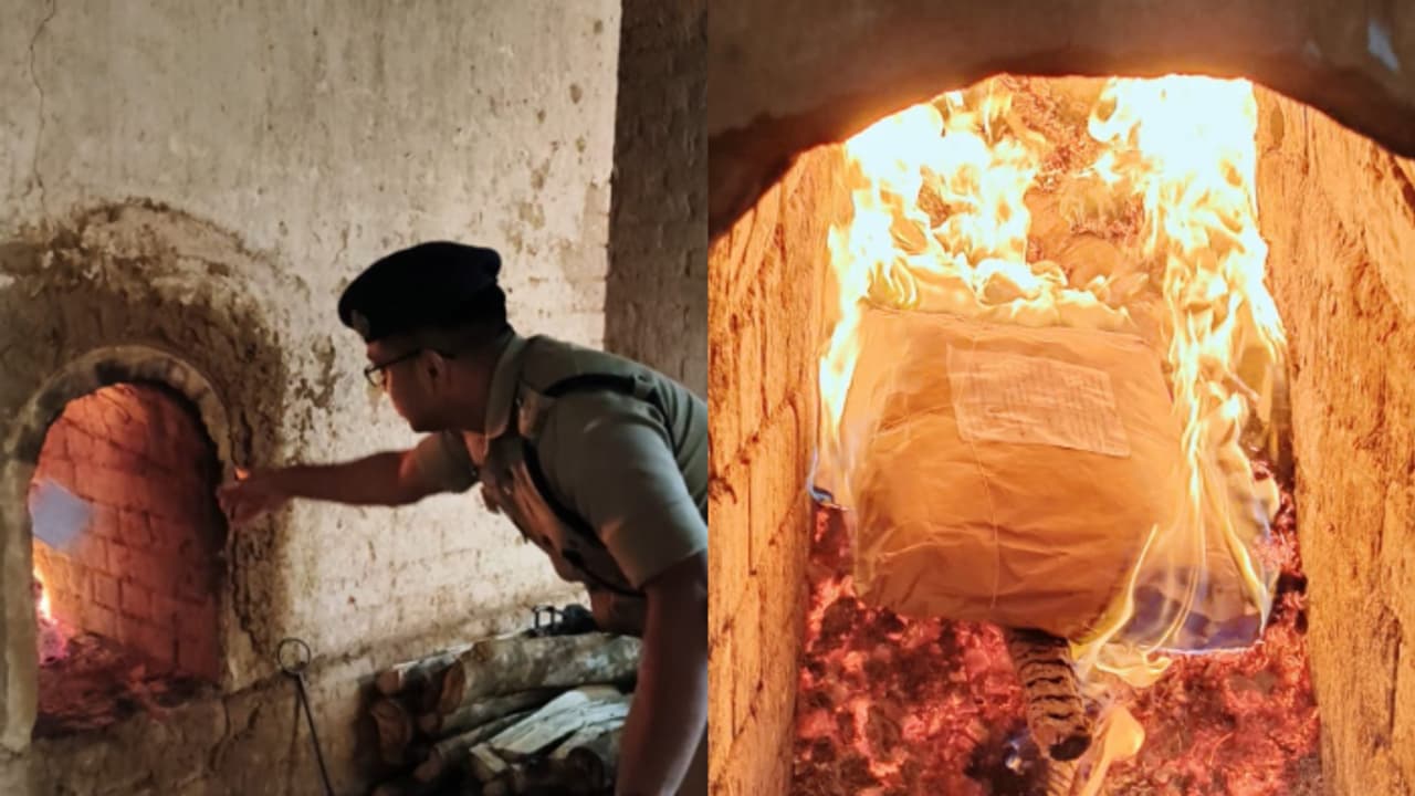 106 കിലോ കഞ്ചാവ്, 95 ഗ്രാം മെത്താംഫിറ്റമിൻ; തീച്ചൂളയിൽ കത്തിച്ചത് ഡി ഹണ്ടിൽ പിടിച്ച ലഹരി പദാർത്ഥങ്ങൾ