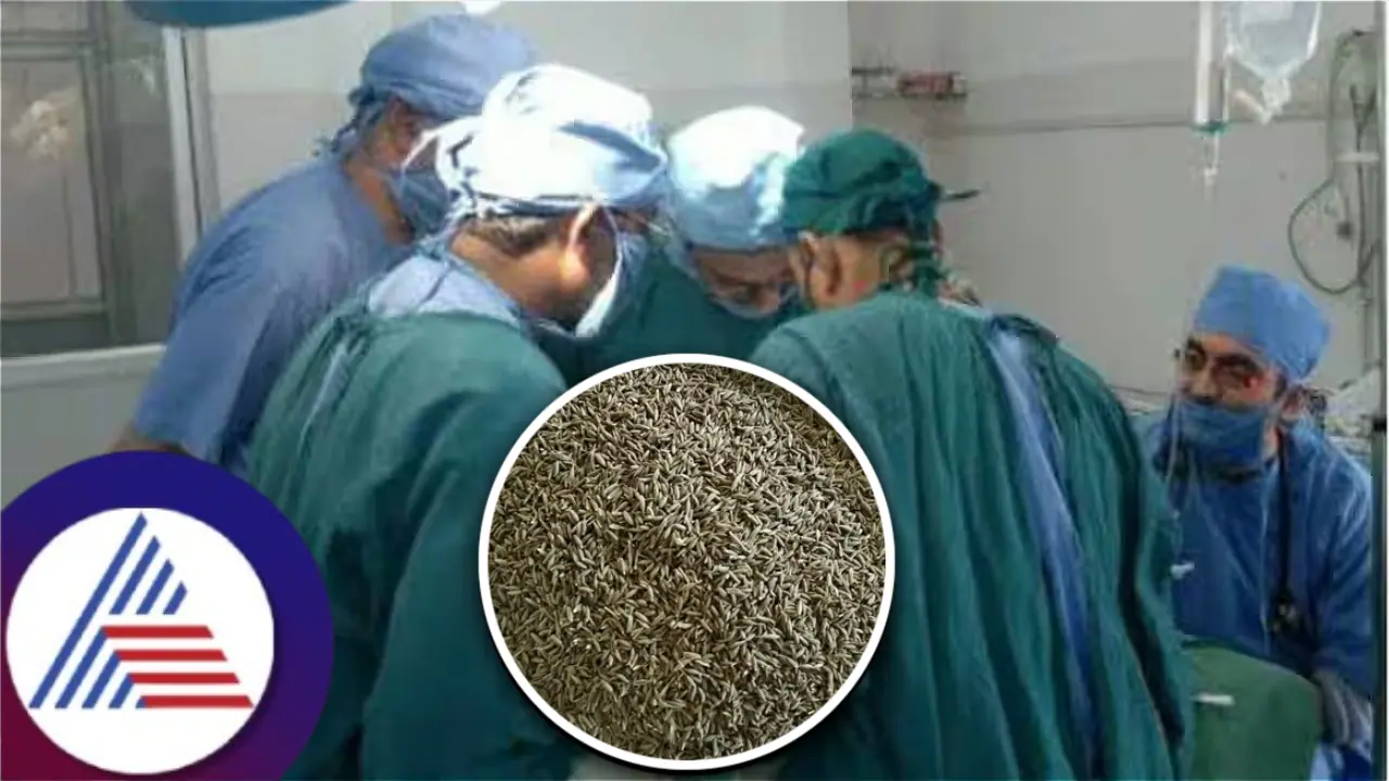 ಯುವಕನ ಹೊಟ್ಟೆಯ ರಹಸ್ಯಕ್ಕೆ ವೈದ್ಯರೇ ದಂಗು, ಹೊಕ್ಕಳಿಂದ ಹೊರಬಂದ ಜೀರಿಗೆ ಸಾಸಿವೆ! ಯುವಕನ ಹೊಟ್ಟೆಯ ರಹಸ್ಯಕ್ಕೆ ವೈದ್ಯರೇ ದಂಗು, ಹೊಕ್ಕಳಿಂದ ಹೊರಬಂದ ಜೀರಿಗೆ ಸಾಸಿವೆ!