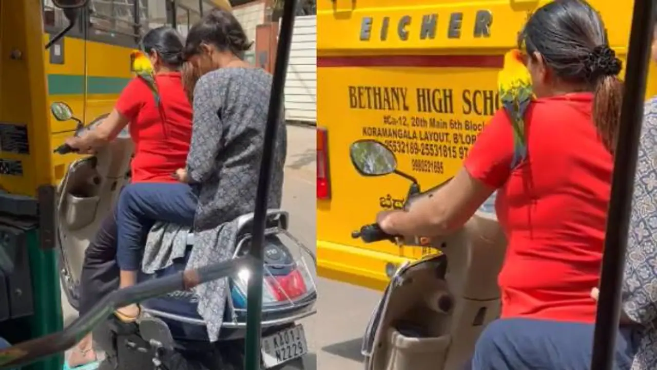 ചുമലിൽ തത്ത, രണ്ടാൾക്കും ഹെൽമെറ്റില്ല; കൗതുകവുമായി ബെം​ഗളൂരുവിൽ നിന്നുള്ള വീഡിയോ 