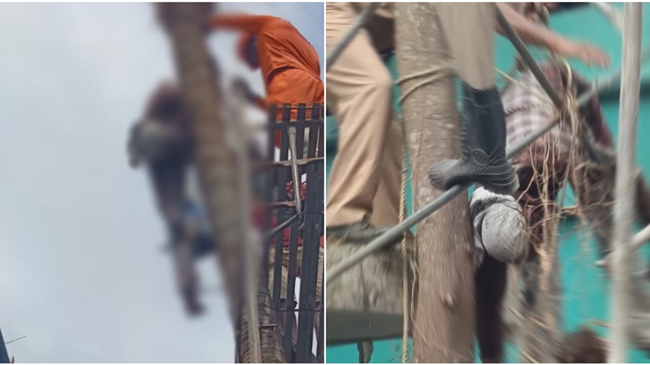 തെങ്ങു വെട്ടുന്നതിനിടെ മെഷീൻ കഴുത്തിൽ കൊണ്ട് പരിക്കേറ്റു; എറണാകുളം ചേരാനല്ലൂരിൽ തൊഴിലാളിയ്ക്ക് ദാരുണാന്ത്യം തെങ്ങു വെട്ടുന്നതിനിടെ മെഷീൻ കഴുത്തിൽ കൊണ്ട് പരിക്കേറ്റു; എറണാകുളം ചേരാനല്ലൂരിൽ തൊഴിലാളിയ്ക്ക് ദാരുണാന്ത്യം