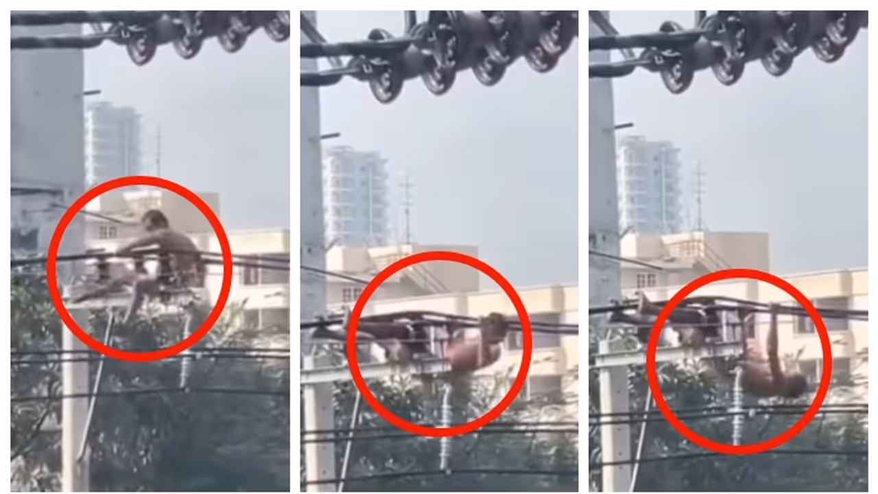 ഇലക്ട്രിക്ക് ലൈനില്‍ ഒരു പുൾ അപ്പ്; ഇത് ധീരതയല്ല, ഭ്രാന്താണെന്ന് സോഷ്യല്‍ മീഡിയ, വീഡിയോ വൈറൽ
