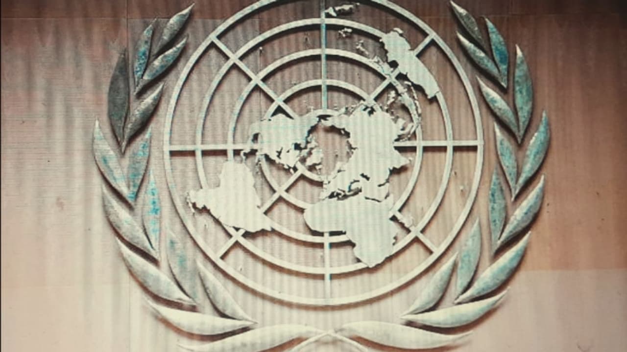 ஐ.நா வில் தன்னார்வலராக வாய்ப்பு! இலவசமாக விண்ணப்பிக்கலாம்! விவரங்கள் இதோ! ஐ.நா வில் தன்னார்வலராக வாய்ப்பு! இலவசமாக விண்ணப்பிக்கலாம்! விவரங்கள் இதோ!