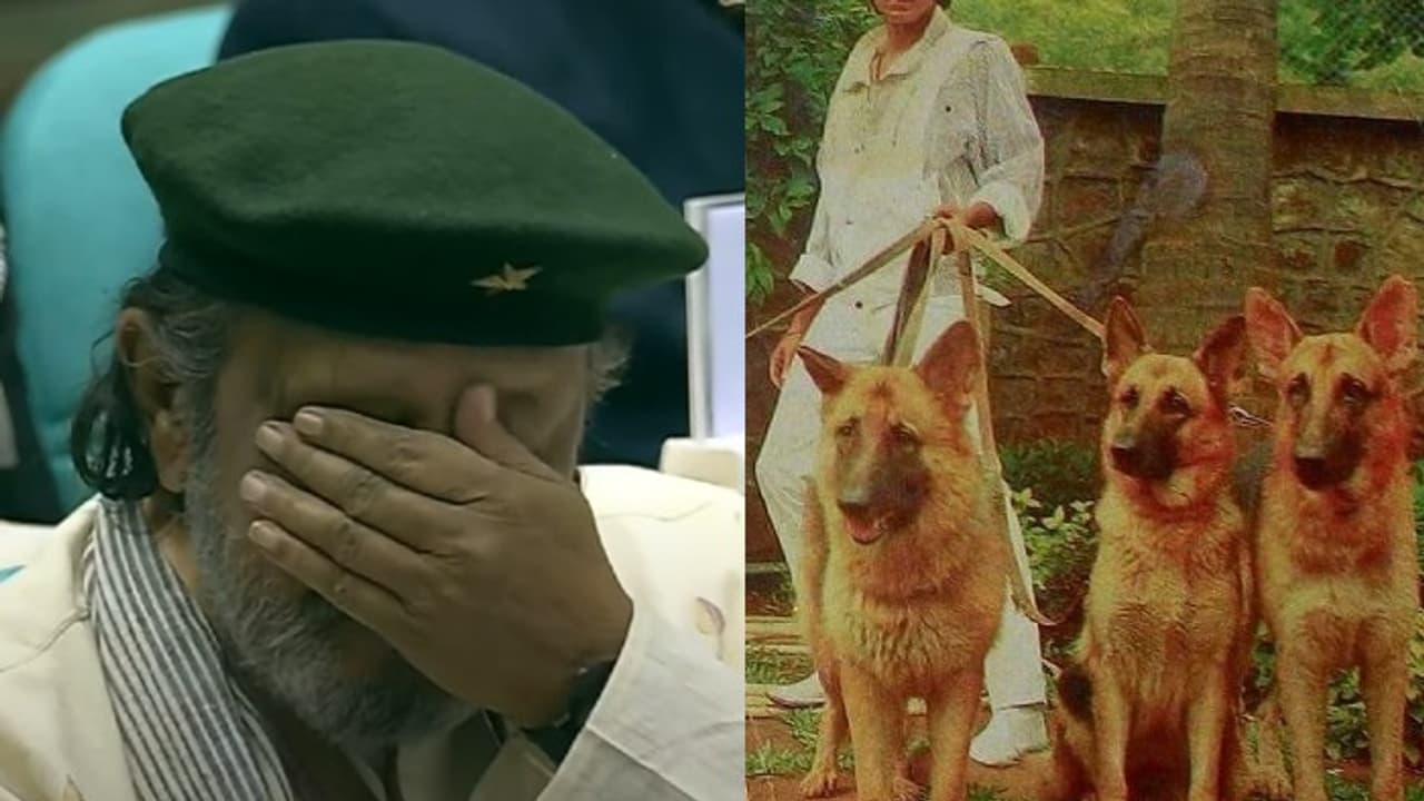 76 വളര്‍ത്ത് നായ്ക്കൾക്കായി 45 കോടിയുടെ സ്വത്ത് മാറ്റിവച്ച സൂപ്പര്‍ താരം