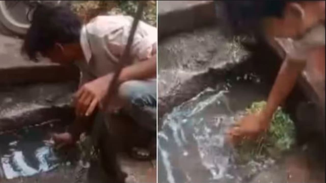 ಹಸಿರು ತರಕಾರಿಯನ್ನು ಚರಂಡಿ ನೀರಿನಲ್ಲಿ ತೊಳೆದ ವ್ಯಾಪಾರಿ: ವೀಡಿಯೋ ವೈರಲ್ ಹಸಿರು ತರಕಾರಿಯನ್ನು ಚರಂಡಿ ನೀರಿನಲ್ಲಿ ತೊಳೆದ ವ್ಯಾಪಾರಿ: ವೀಡಿಯೋ ವೈರಲ್