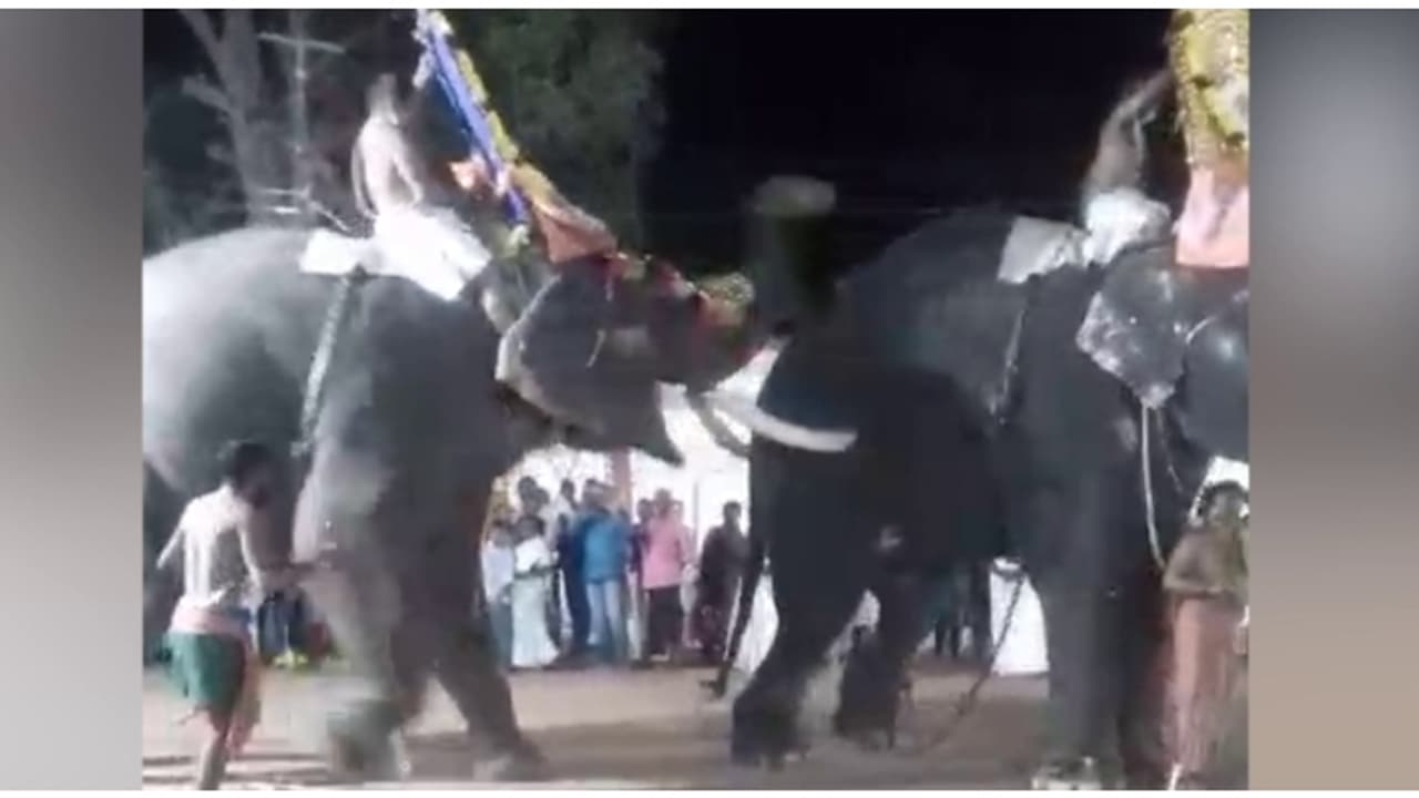 തിരുവല്ല ശ്രീവല്ലഭ ക്ഷേത്രത്തിൽ ഉത്സവത്തിനിടെ ആന ഇടഞ്ഞു തിരുവല്ല ശ്രീവല്ലഭ ക്ഷേത്രത്തിൽ ഉത്സവത്തിനിടെ ആന ഇടഞ്ഞു