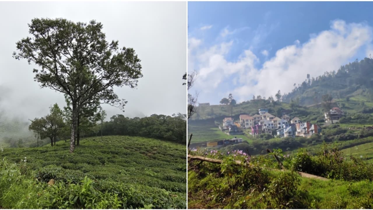 ഊട്ടി ഒന്ന് മാറ്റിപ്പിടിച്ചാലോ? തൊട്ടടുത്തുണ്ട് സൂര്യൻ വൈകി ഉദിക്കുന്ന, മഞ്ഞ് പെയ്യുന്ന ഒരു നാട്! ഊട്ടി ഒന്ന് മാറ്റിപ്പിടിച്ചാലോ? തൊട്ടടുത്തുണ്ട് സൂര്യൻ വൈകി ഉദിക്കുന്ന, മഞ്ഞ് പെയ്യുന്ന ഒരു നാട്!