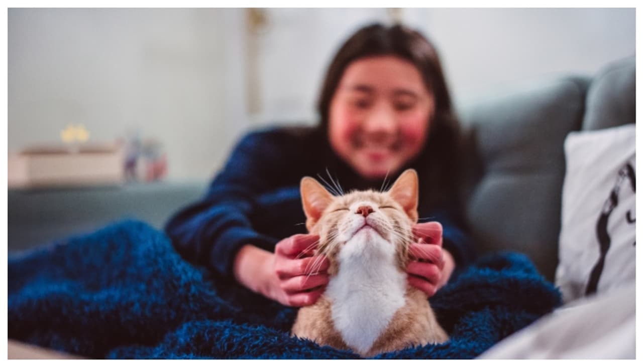 ചത്ത പൂച്ചയെ നെഞ്ചോട് ചേർത്ത് നടന്നത് രണ്ട് ദിവസം, ഒടുവില്‍, സങ്കടം സഹിക്കവയ്യാതെ 32 കാരി ജീവനൊടുക്കി 