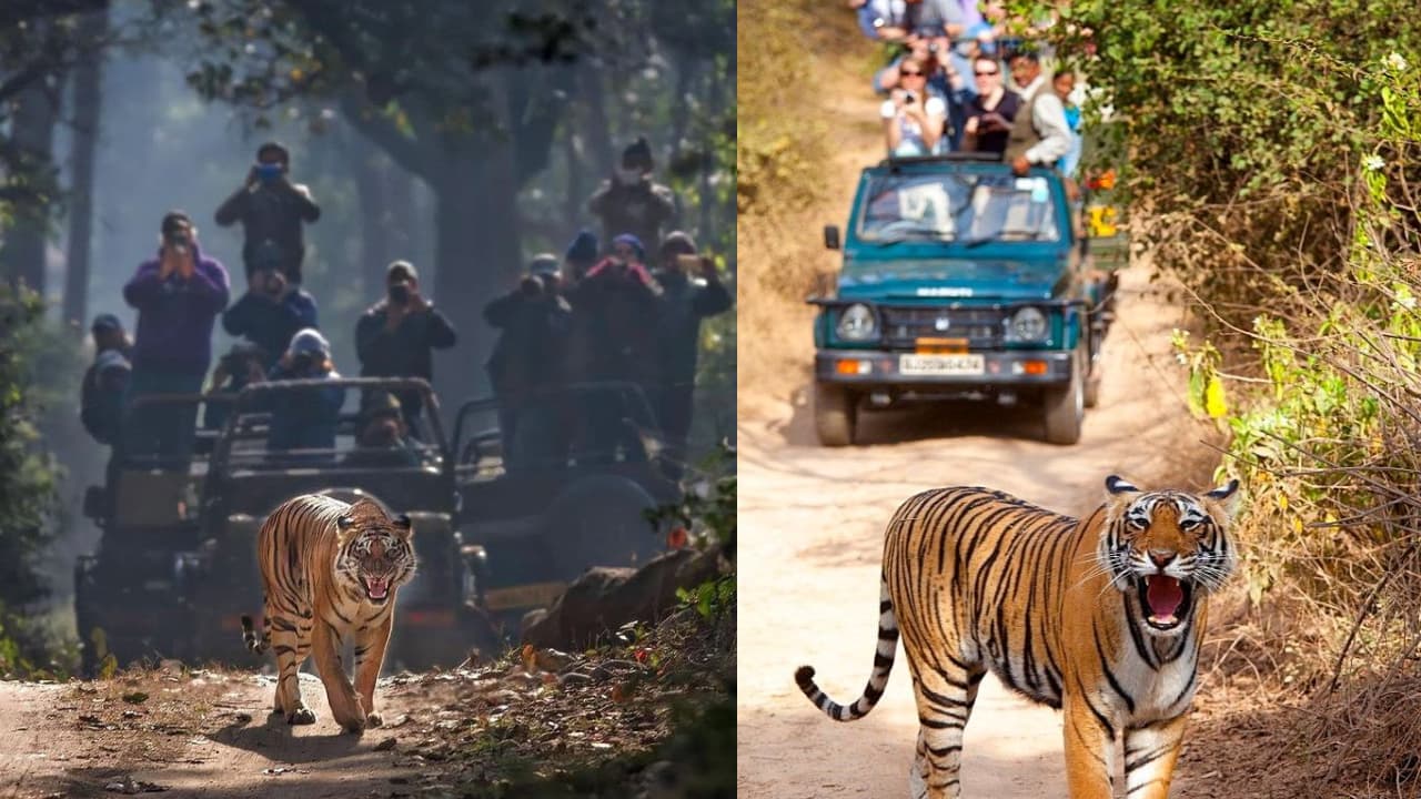 national parks in india national parks in india