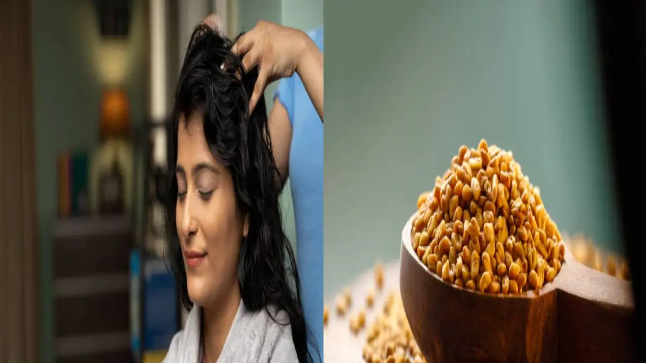 வெந்தயத்தை இப்படி பயன்படுத்துங்க....தலைமுடி காடு மாதிரி வளரும்