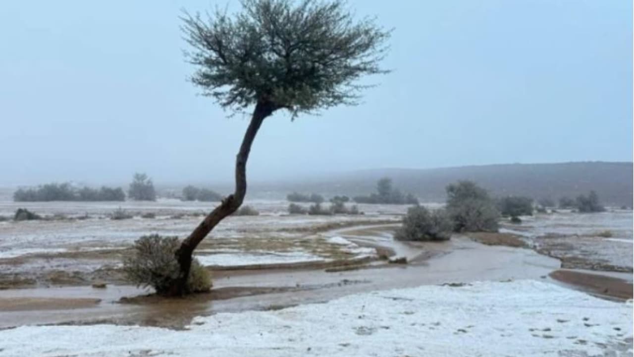 സൗദിയിൽ വെള്ളിയാഴ്ച വരെ കനത്ത മഴ തുടരും, ഇന്ന് സ്കൂളുകൾക്ക് അവധി