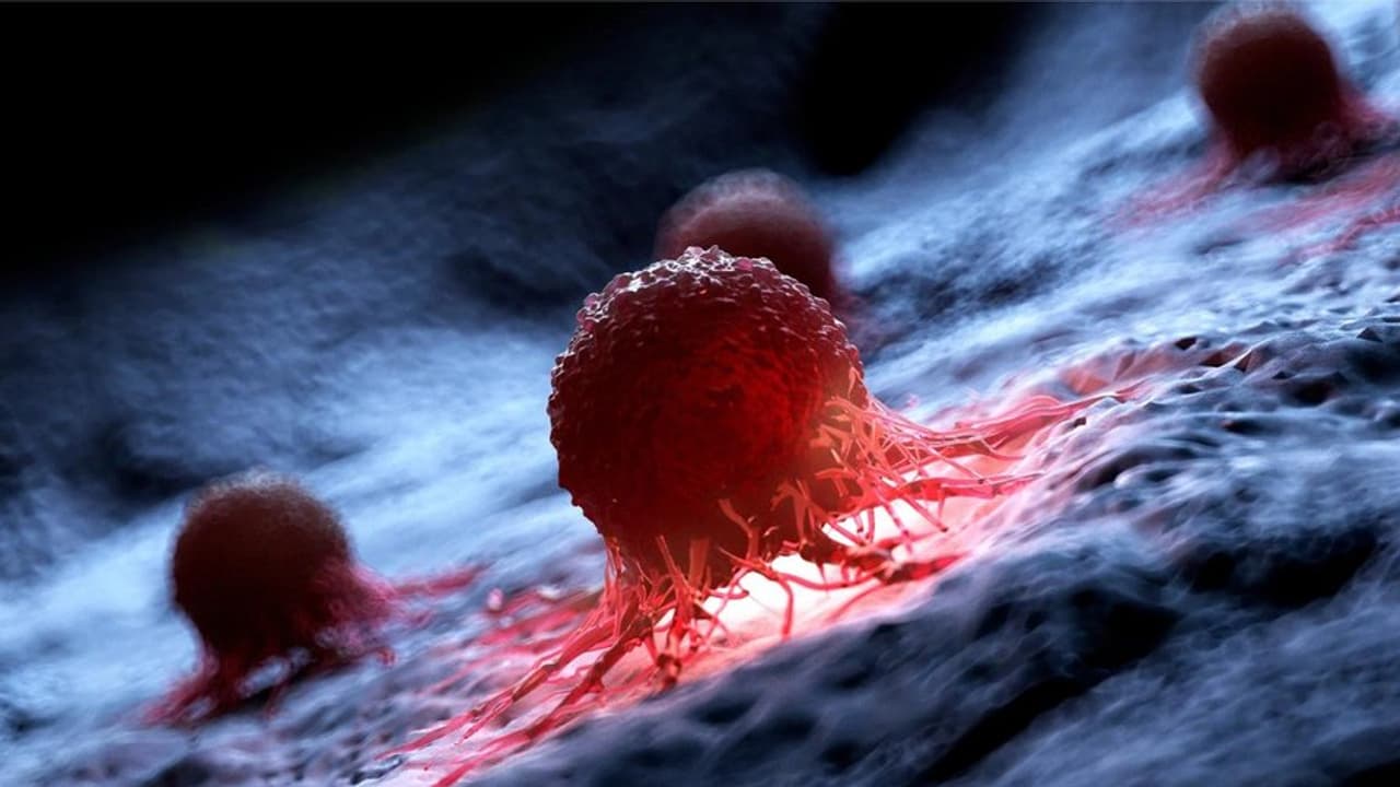 GROUNDBREAKING! Scientists discover plant derived compound that stops cancer growth GROUNDBREAKING! Scientists discover plant derived compound that stops cancer growth