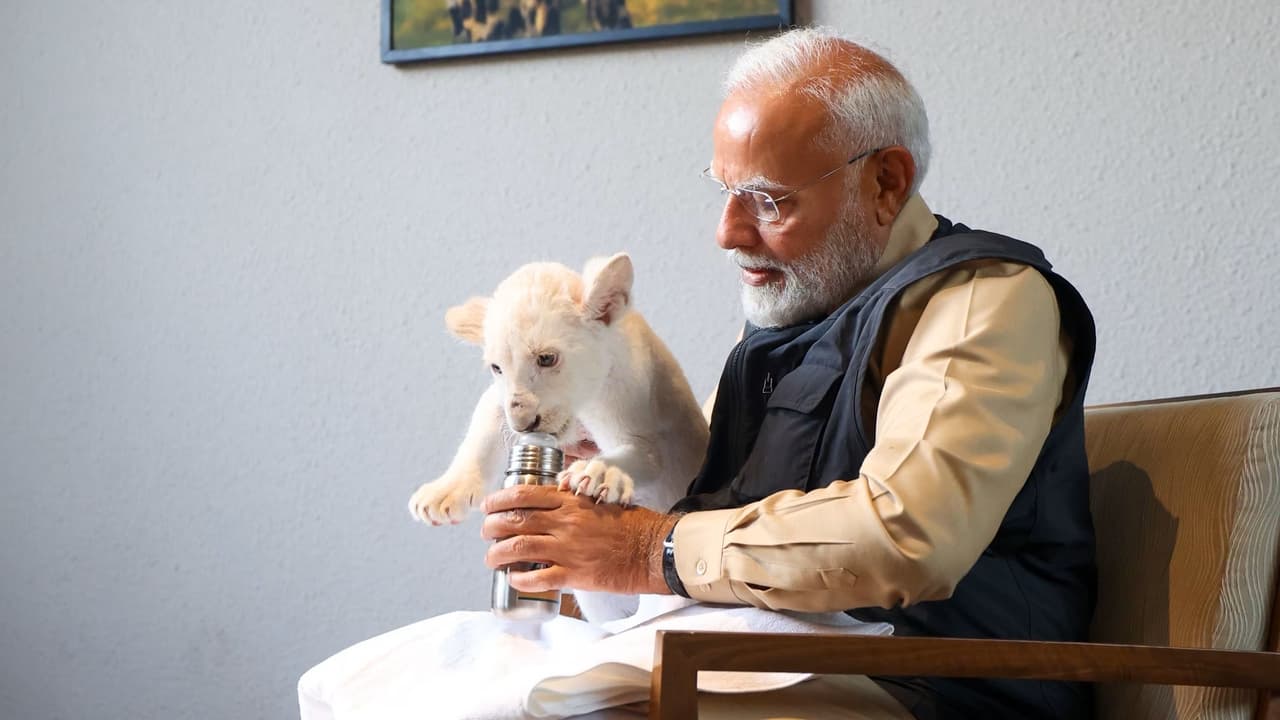 Vantara : సింహం పిల్లను ఒళ్లో కూర్చోబెట్టుకుని పాలుపట్టిన ప్రధాని మోదీ Vantara : సింహం పిల్లను ఒళ్లో కూర్చోబెట్టుకుని పాలుపట్టిన ప్రధాని మోదీ