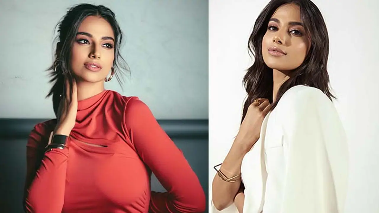 Meenakshi Chaudhary net worth: Income, assets, remuneration, and more