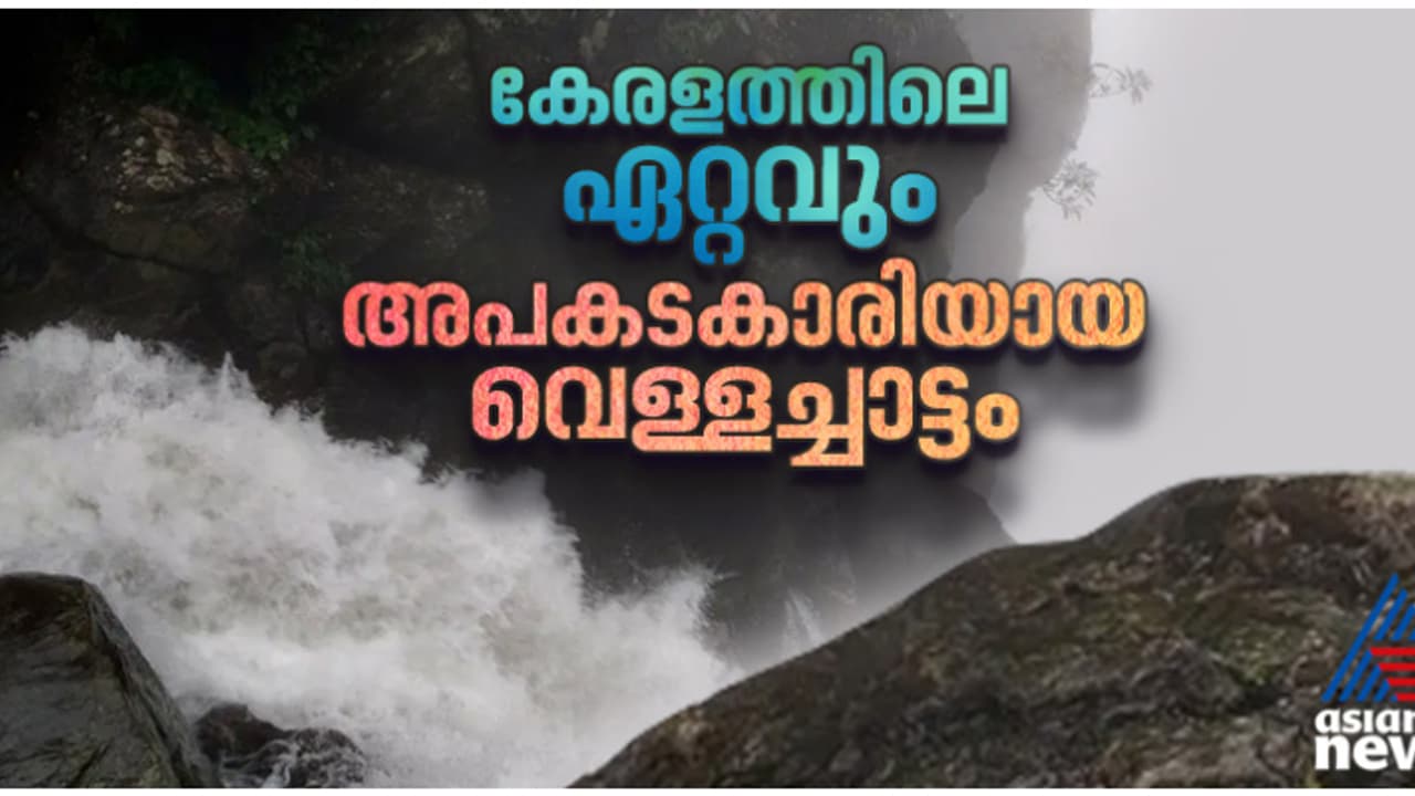 'പോയ ആൾ പോയി, കൂടെ വന്നയാൾക്ക് തിരികെ പോകാം'; കേരളത്തിലെ തിരച്ചിൽ ഇല്ലാത്ത ഏക വെള്ളച്ചാട്ടം! 'പോയ ആൾ പോയി, കൂടെ വന്നയാൾക്ക് തിരികെ പോകാം'; കേരളത്തിലെ തിരച്ചിൽ ഇല്ലാത്ത ഏക വെള്ളച്ചാട്ടം!