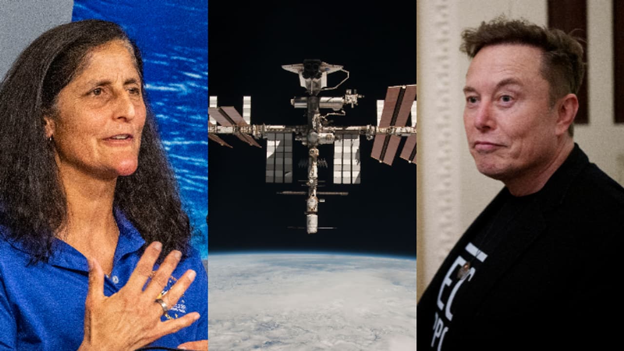 അന്താരാഷ്ട്ര ബഹിരാകാശ നിലയം ഉടന് പൊളിച്ചടുക്കണമെന്ന് മസ്ക്; പറ്റില്ലെന്ന് സുനിത വില്യംസ്, ഉറച്ച മറുപടി അന്താരാഷ്ട്ര ബഹിരാകാശ നിലയം ഉടന് പൊളിച്ചടുക്കണമെന്ന് മസ്ക്; പറ്റില്ലെന്ന് സുനിത വില്യംസ്, ഉറച്ച മറുപടി