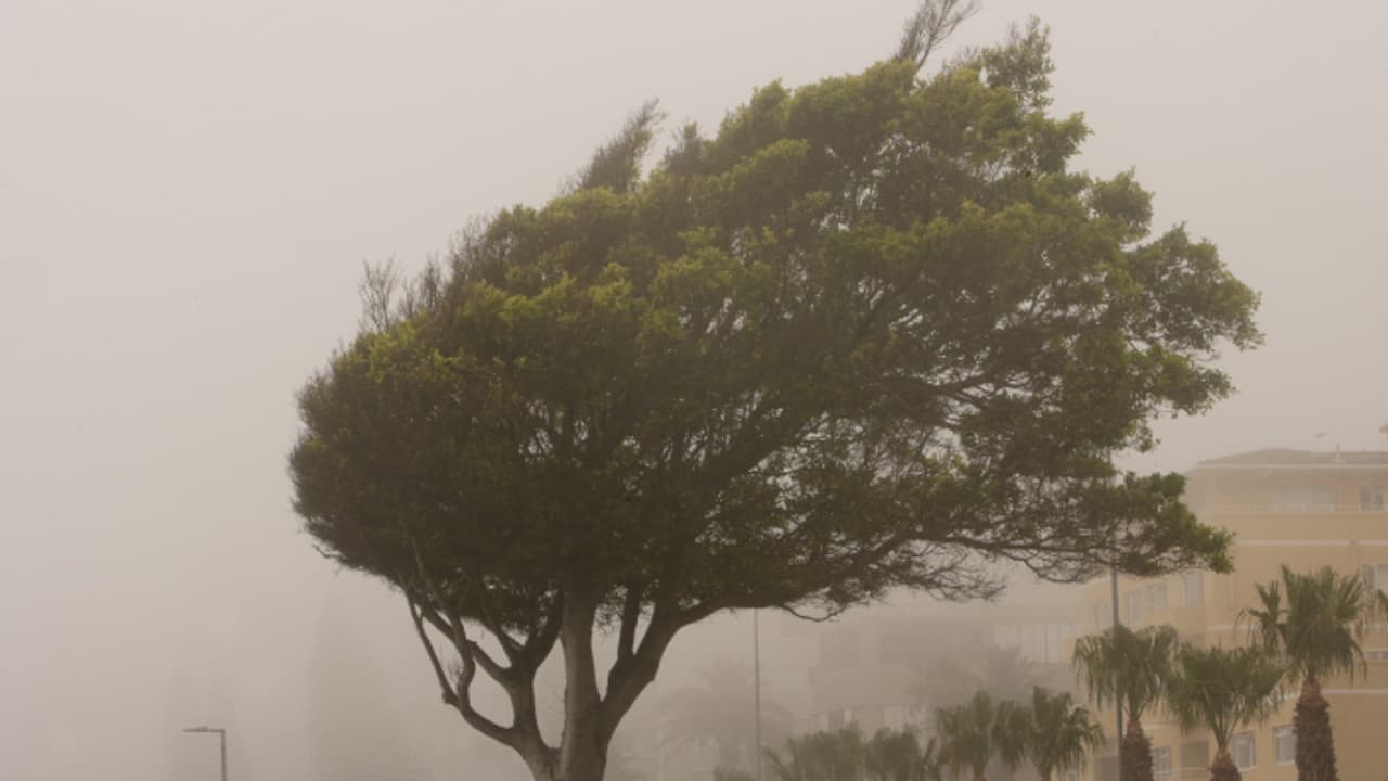 ശക്തമായ കാറ്റും ഇടിമിന്നലോട് കൂടിയ ഒറ്റപ്പെട്ട മഴയും, ഖത്തറിൽ കാലാവസ്ഥ മുന്നറിയിപ്പ്