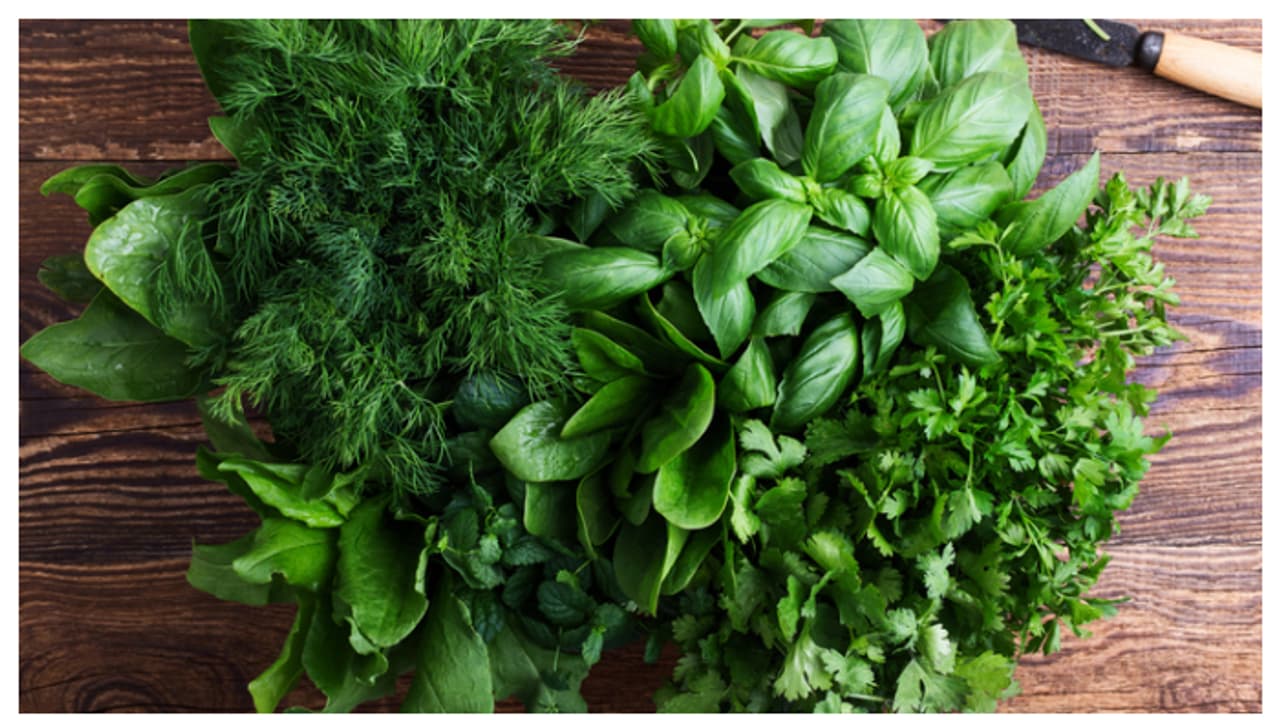 ഔഷധസസ്യങ്ങൾ ഇനി എത്ര ദിവസം വേണമെങ്കിലും കേടാവാതിരിക്കും; ഇത്രയും ചെയ്താൽ മതി 