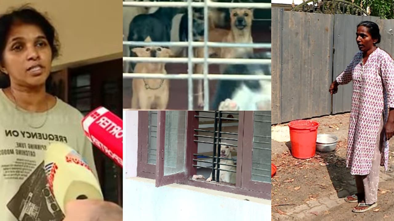 എറണാകുളത്ത് തെരുവുനായകളെ വളർത്തുന്ന വീട്ടിന് പുറത്ത് പ്രതിഷേധം തുടരുന്നു, സ്വകാര്യതയെ ഹനിക്കുന്നതായി വീണ എറണാകുളത്ത് തെരുവുനായകളെ വളർത്തുന്ന വീട്ടിന് പുറത്ത് പ്രതിഷേധം തുടരുന്നു, സ്വകാര്യതയെ ഹനിക്കുന്നതായി വീണ