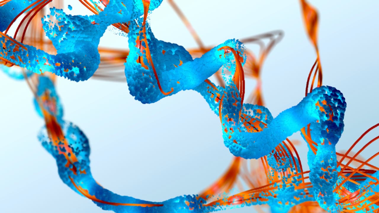 അമിനോ ആസിഡുകൾ ലഭിക്കാന്‍ ഡയറ്റില്‍ ഉള്‍പ്പെടുത്തേണ്ട ഭക്ഷണങ്ങള്‍