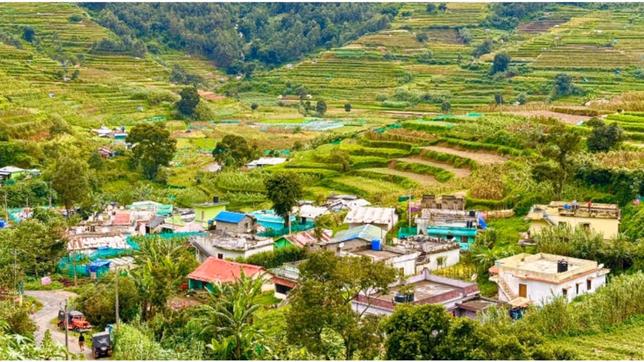 വട്ടവടയിലേയ്ക്കാണോ? എങ്കിൽ ഈ 5 സ്ഥലങ്ങൾ ഒരിക്കലും മിസ്സാക്കല്ലേ... വട്ടവടയിലേയ്ക്കാണോ? എങ്കിൽ ഈ 5 സ്ഥലങ്ങൾ ഒരിക്കലും മിസ്സാക്കല്ലേ...