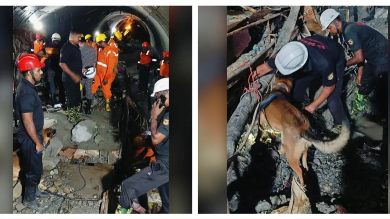 Telangana tunnel collapse: Body of one worker recovered, CM announces Rs 25 lakh ex gratia Telangana tunnel collapse: Body of one worker recovered, CM announces Rs 25 lakh ex gratia