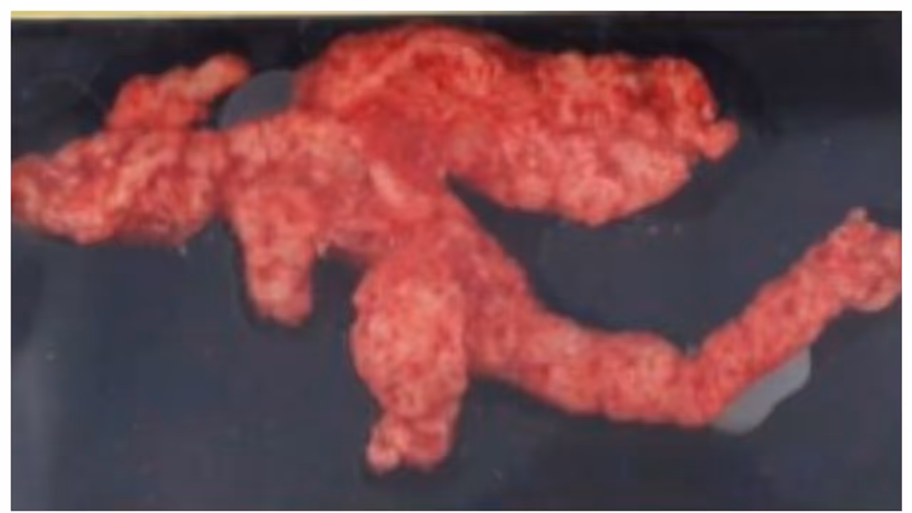 'പോക്കിമോന്‍റെ' രൂപമുള്ള ചീറ്റോസ്, ലേലത്തിൽ വിറ്റ് പോയത് 77 ലക്ഷം രൂപയ്ക്ക്