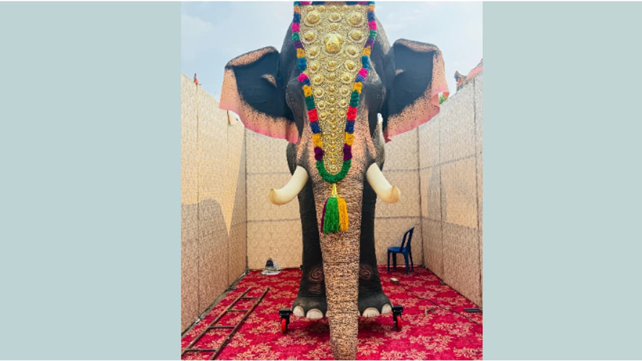 ഇത് ഒന്നൊന്നര ആന, ഇടയില്ല, പാപ്പാനും കൂച്ചുവിലങ്ങും വേണ്ട; നെയ്യാറ്റിൻകരയിൽ ഇനി ദേവീദാസന്റെ ആറാട്ട് ഇത് ഒന്നൊന്നര ആന, ഇടയില്ല, പാപ്പാനും കൂച്ചുവിലങ്ങും വേണ്ട; നെയ്യാറ്റിൻകരയിൽ ഇനി ദേവീദാസന്റെ ആറാട്ട്