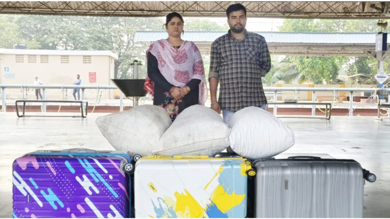 ഒഡീഷയിൽ നിന്ന് കണ്ണൂരിലേക്ക്; മൂന്ന് ട്രോളി ബാ​ഗുമായി യുവതിയും യുവാവും പിടിയിൽ, പിടിച്ചെടുത്തത് 47കിലോ കഞ്ചാവ്