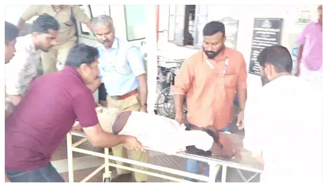 കൃഷിപ്പണിക്കെത്തിയവർക്കുനേരെ കാട്ടുതേനീച്ചയുടെ ആക്രമണം, നാല് പേർക്ക് പരിക്ക്, ഒരാൾക്ക് ഗുരുതരം കൃഷിപ്പണിക്കെത്തിയവർക്കുനേരെ കാട്ടുതേനീച്ചയുടെ ആക്രമണം, നാല് പേർക്ക് പരിക്ക്, ഒരാൾക്ക് ഗുരുതരം