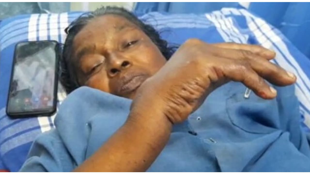 പതിവ് പോലെ തോട്ടത്തിൽ റബർപാലെടുക്കുന്നതിനിടെ പാഞ്ഞെത്തി കാട്ടുപന്നി, വീട്ടമ്മയെ ആക്രമിച്ചു; ഗുരുതര പരിക്ക് പതിവ് പോലെ തോട്ടത്തിൽ റബർപാലെടുക്കുന്നതിനിടെ പാഞ്ഞെത്തി കാട്ടുപന്നി, വീട്ടമ്മയെ ആക്രമിച്ചു; ഗുരുതര പരിക്ക്