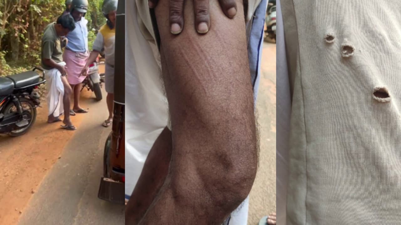 ബൈക്കിൽ പോകുന്നതിനിടെ പുലി ചാടി വീണു; മമ്പാട് പുലിയുടെ ആക്രമണത്തിൽ ഒരാൾക്ക് പരിക്ക്,രക്ഷപ്പെട്ടത് തലനാരിഴക്ക് ബൈക്കിൽ പോകുന്നതിനിടെ പുലി ചാടി വീണു; മമ്പാട് പുലിയുടെ ആക്രമണത്തിൽ ഒരാൾക്ക് പരിക്ക്,രക്ഷപ്പെട്ടത് തലനാരിഴക്ക്