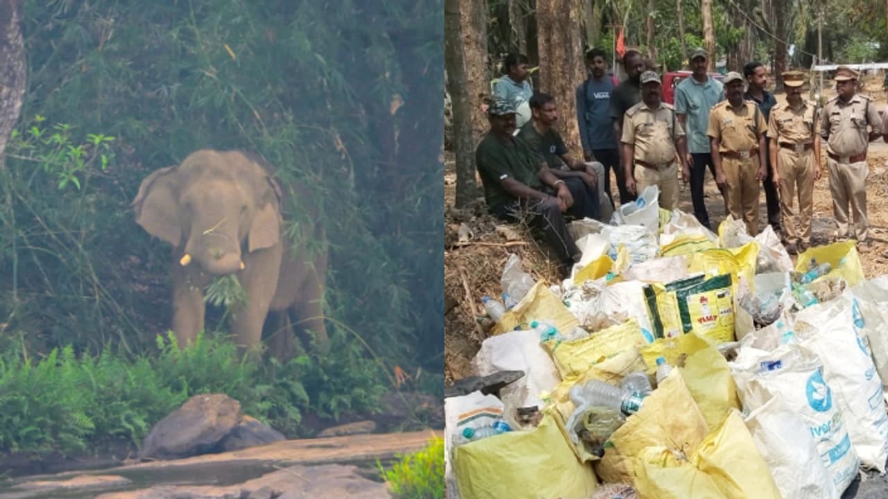 'ചില്ല്, ഇരുമ്പ് കമ്പികള്‍, പ്ലാസ്റ്റിക്ക്'; വനമേഖലകളിലെത്തുന്ന വിനോദസഞ്ചാരികള്‍ വന്യമൃഗങ്ങൾക്ക് ഭീഷണിയാകുന്നു