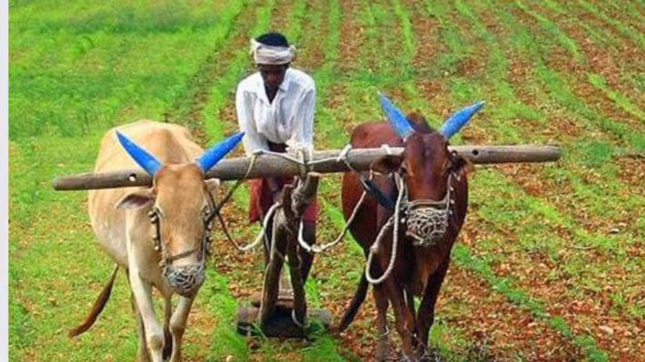 Good news for farmers