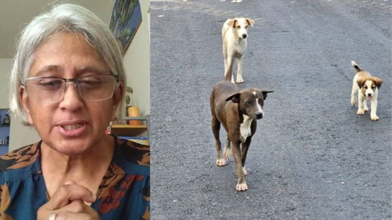 ಬೀದಿ ನಾಯಿ ಕಳೆದು ಹೋಗಿದೆ, ಹುಡುಕಿಕೊಡಿ ಪೊಲೀಸರೇ..! ಮಹಿಳೆ ದೂರಿಗೆ ಮರುಗಿದ ಪೊಲೀಸರು!