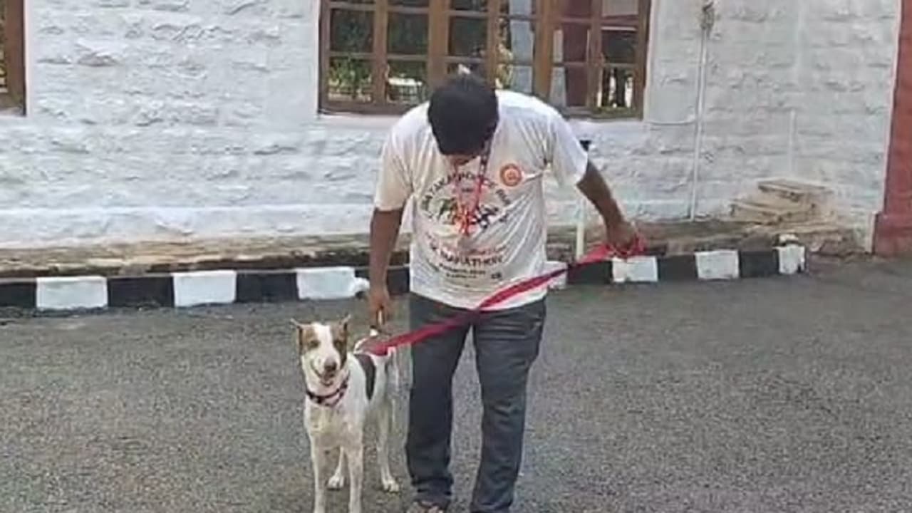 Uttara Kannada: ಪದಕ ಗೆದ್ದ ಶಿರೂರು ಗುಡ್ಡ ಕುಸಿತದಲ್ಲಿ ತನ್ನವರ ಕಳೆದುಕೊಂಡ ಶ್ವಾನ!