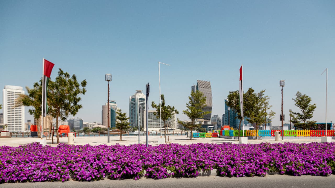 യുഎഇയിൽ തണുപ്പ് കുറയുന്നു, ഇനി വസന്തകാലത്തിന് സമാനമായ അന്തരീക്ഷം 