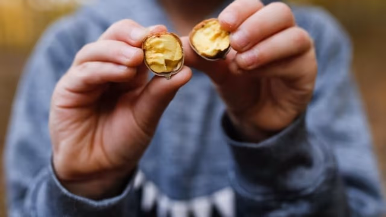 ദുബായില്‍ നിന്നും സ്വര്‍ണം തീരുവ ഇല്ലാതെ കൊണ്ടുവരാമോ? പരിധി എത്ര? അളവ് കൂടിയാല്‍ അടയ്ക്കേണ്ട നികുതി എത്ര?