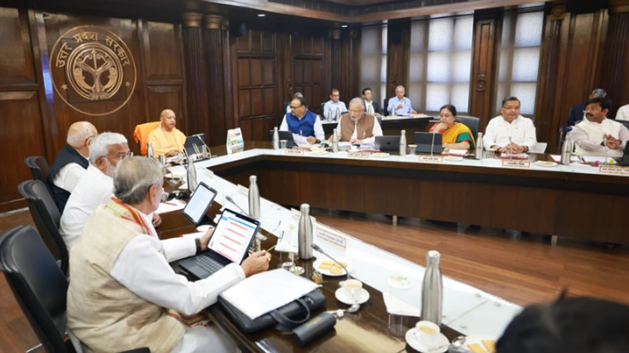 Cm yogi cabinet